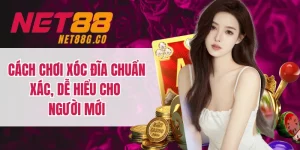 Cách Chơi Xóc Đĩa Chuẩn Xác, Dễ Hiểu Cho Người Mới