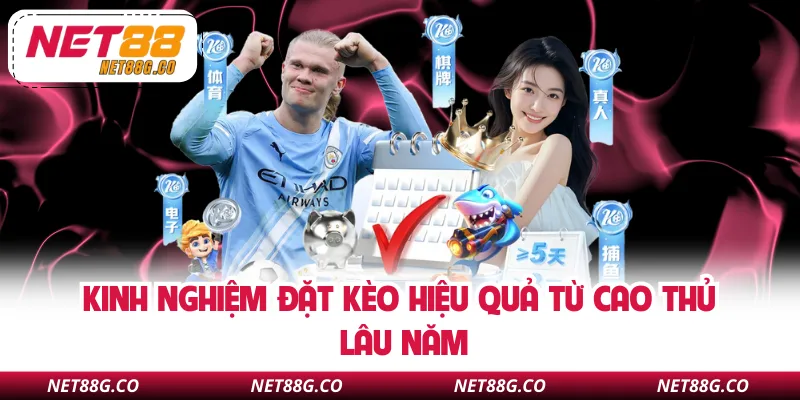 Kinh nghiệm đặt kèo hiệu quả từ cao thủ lâu năm