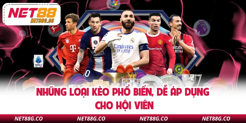 Những loại kèo phổ biến, dễ áp dụng cho hội viên