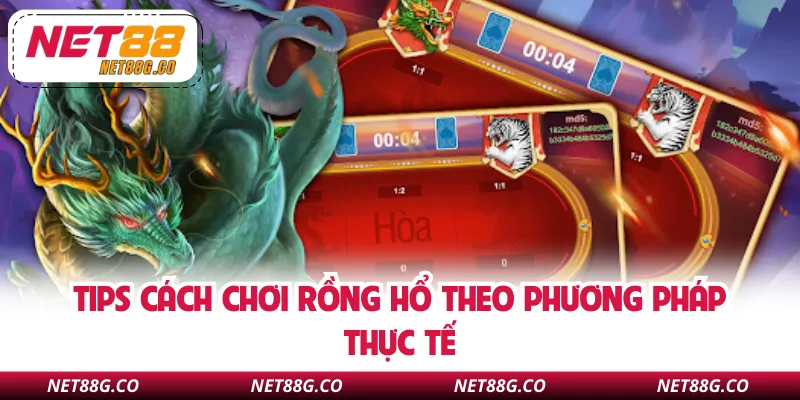 Tips cách chơi Rồng Hổ theo phương pháp thực tế