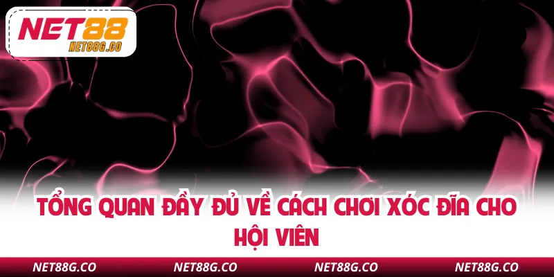Tổng quan đầy đủ về cách chơi Xóc Đĩa cho hội viên