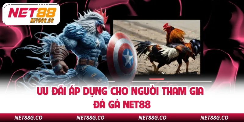 Ưu đãi áp dụng cho người tham gia đá gà NET88